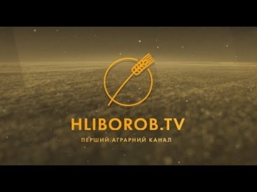 Новий альбом